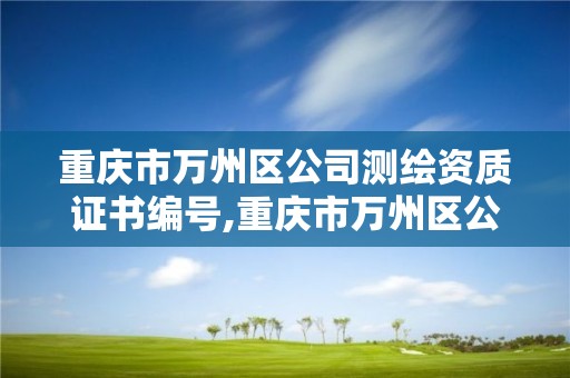 重庆市万州区公司测绘资质证书编号,重庆市万州区公司测绘资质证书编号是多少。