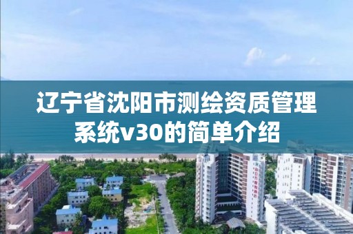 辽宁省沈阳市测绘资质管理系统v30的简单介绍