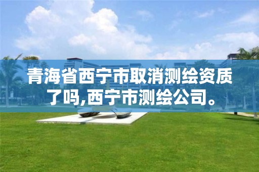 青海省西宁市取消测绘资质了吗,西宁市测绘公司。