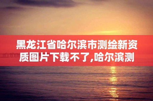 黑龙江省哈尔滨市测绘新资质图片下载不了,哈尔滨测绘局怎么样。