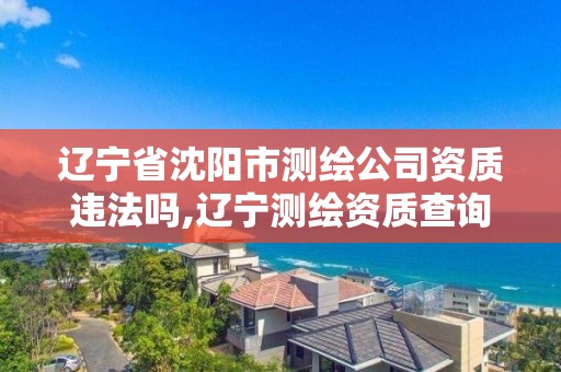 辽宁省沈阳市测绘公司资质违法吗,辽宁测绘资质查询。