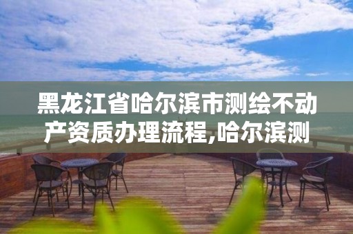 黑龙江省哈尔滨市测绘不动产资质办理流程,哈尔滨测绘局属于什么单位。