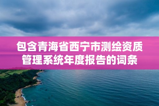 包含青海省西宁市测绘资质管理系统年度报告的词条