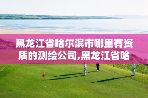 黑龙江省哈尔滨市哪里有资质的测绘公司,黑龙江省哈尔滨市哪里有资质的测绘公司啊。