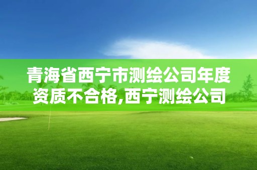 青海省西宁市测绘公司年度资质不合格,西宁测绘公司联系方式。