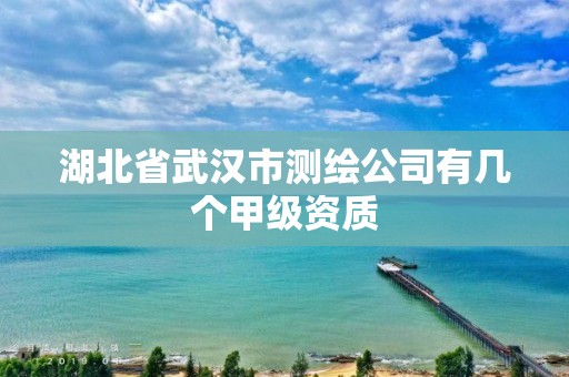 湖北省武汉市测绘公司有几个甲级资质