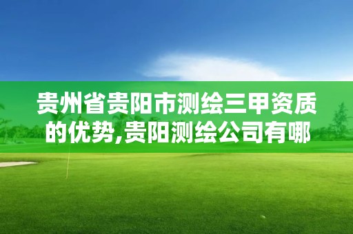 贵州省贵阳市测绘三甲资质的优势,贵阳测绘公司有哪些。