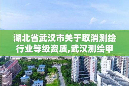 湖北省武汉市关于取消测绘行业等级资质,武汉测绘甲级资质公司。