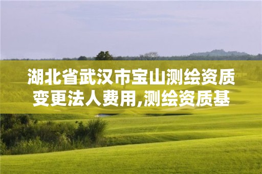 湖北省武汉市宝山测绘资质变更法人费用,测绘资质基本信息变更。