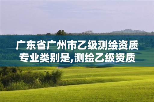 广东省广州市乙级测绘资质专业类别是,测绘乙级资质业务范围。