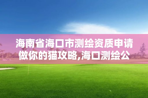 海南省海口市测绘资质申请做你的猫攻略,海口测绘公司招聘。