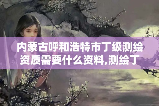 内蒙古呼和浩特市丁级测绘资质需要什么资料,测绘丁级资质全套申请文件。