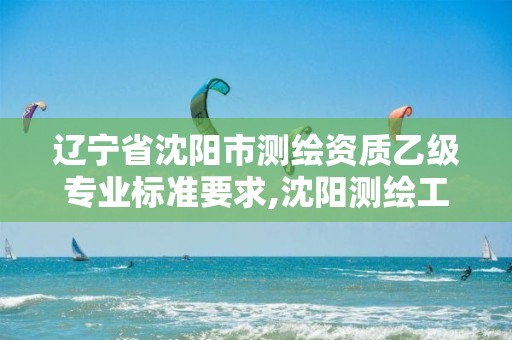 辽宁省沈阳市测绘资质乙级专业标准要求,沈阳测绘工程。