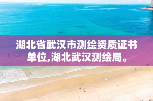 湖北省武汉市测绘资质证书单位,湖北武汉测绘局。