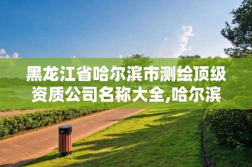 黑龙江省哈尔滨市测绘顶级资质公司名称大全,哈尔滨测绘学校。