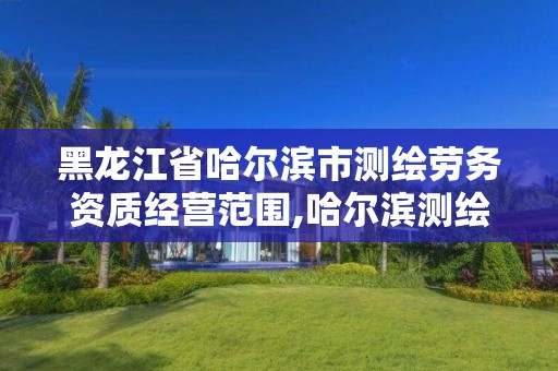 黑龙江省哈尔滨市测绘劳务资质经营范围,哈尔滨测绘局是干什么的。