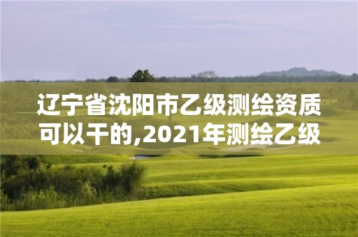 辽宁省沈阳市乙级测绘资质可以干的,2021年测绘乙级资质办公申报条件。