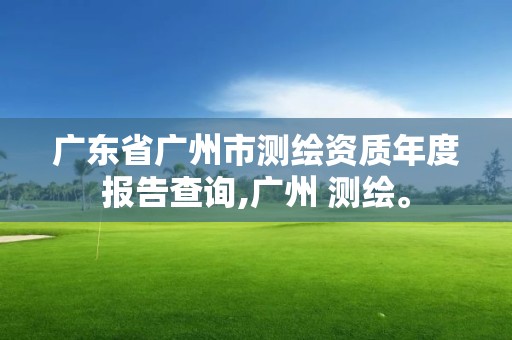 广东省广州市测绘资质年度报告查询,广州 测绘。