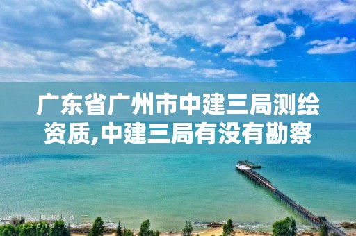 广东省广州市中建三局测绘资质,中建三局有没有勘察资质。