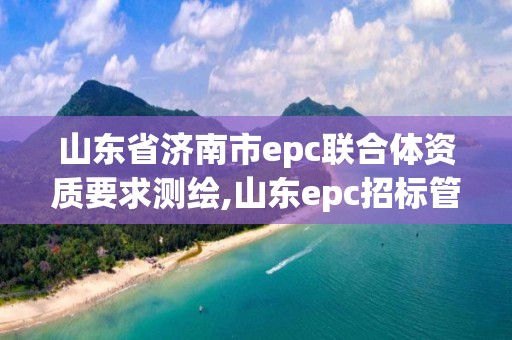 山东省济南市epc联合体资质要求测绘,山东epc招标管理办法。