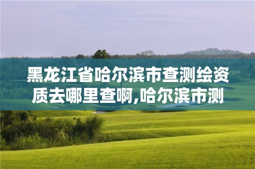 黑龙江省哈尔滨市查测绘资质去哪里查啊,哈尔滨市测绘公司。