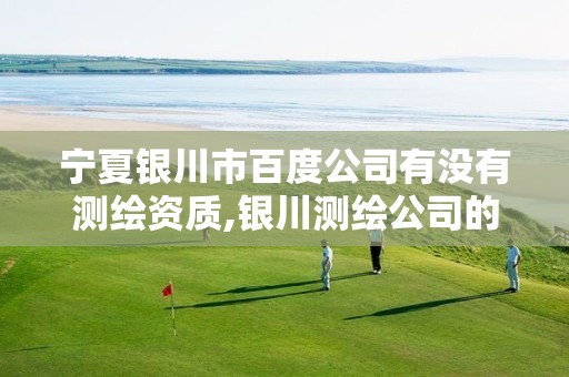 宁夏银川市百度公司有没有测绘资质,银川测绘公司的联系方式。