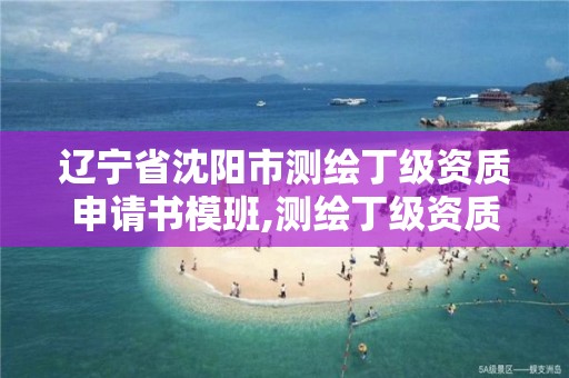 辽宁省沈阳市测绘丁级资质申请书模班,测绘丁级资质申报条件。