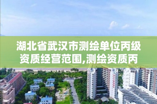 湖北省武汉市测绘单位丙级资质经营范围,测绘资质丙级业务范围。