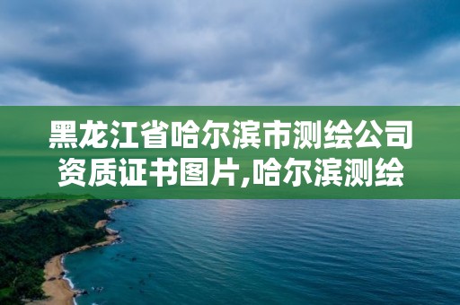 黑龙江省哈尔滨市测绘公司资质证书图片,哈尔滨测绘公司有哪些。