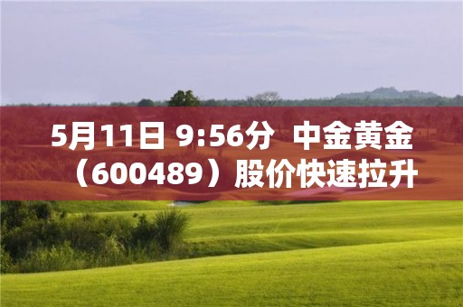 5月11日 9:56分  中金黄金（600489）股价快速拉升