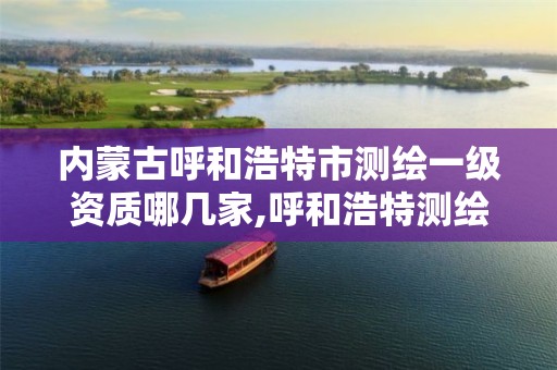 内蒙古呼和浩特市测绘一级资质哪几家,呼和浩特测绘公司排名。