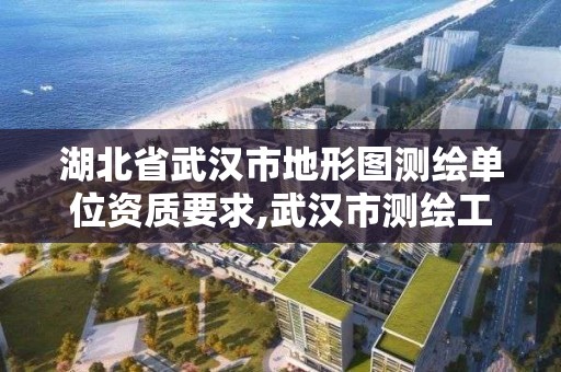 湖北省武汉市地形图测绘单位资质要求,武汉市测绘工程技术规定。