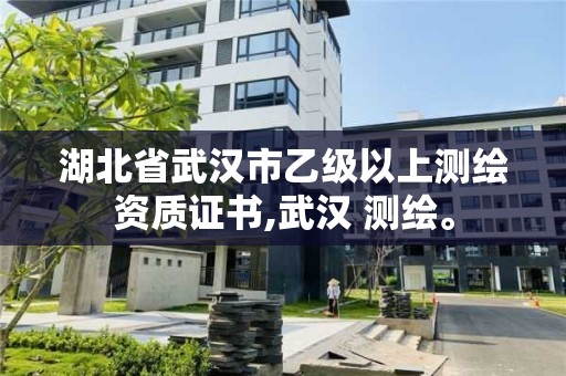 湖北省武汉市乙级以上测绘资质证书,武汉 测绘。