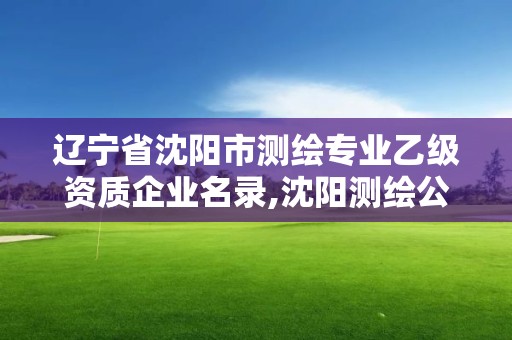 辽宁省沈阳市测绘专业乙级资质企业名录,沈阳测绘公司招聘信息最新招聘。