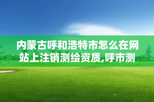 内蒙古呼和浩特市怎么在网站上注销测绘资质,呼市测绘单位。