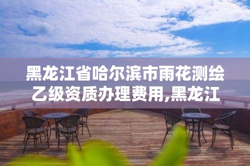 黑龙江省哈尔滨市雨花测绘乙级资质办理费用,黑龙江测绘公司乙级资质。