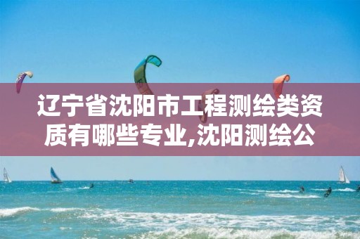 辽宁省沈阳市工程测绘类资质有哪些专业,沈阳测绘公司招聘信息最新招聘。