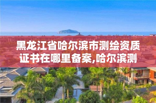 黑龙江省哈尔滨市测绘资质证书在哪里备案,哈尔滨测绘局是干什么的。