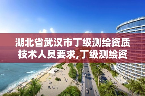 湖北省武汉市丁级测绘资质技术人员要求,丁级测绘资质业务范围。