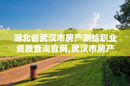 湖北省武汉市房产测绘职业资质查询官网,武汉市房产测绘实施细则。