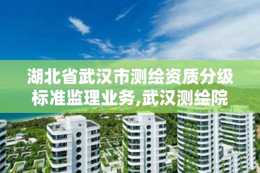 湖北省武汉市测绘资质分级标准监理业务,武汉测绘院是什么级别。