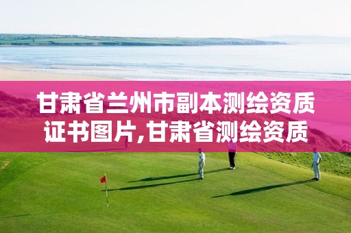 甘肃省兰州市副本测绘资质证书图片,甘肃省测绘资质管理平台。