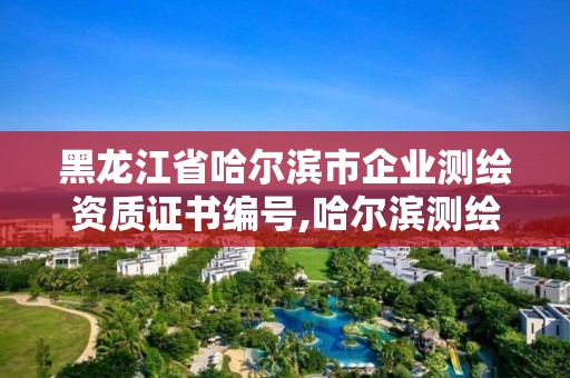 黑龙江省哈尔滨市企业测绘资质证书编号,哈尔滨测绘地理信息局。