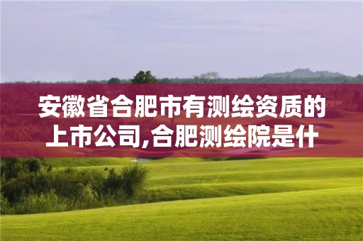 安徽省合肥市有测绘资质的上市公司,合肥测绘院是什么单位。