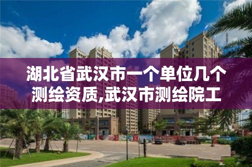 湖北省武汉市一个单位几个测绘资质,武汉市测绘院工资待遇。