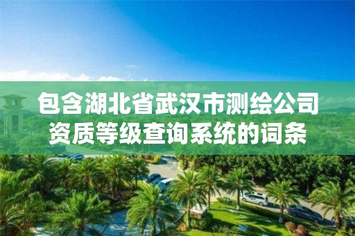 包含湖北省武汉市测绘公司资质等级查询系统的词条