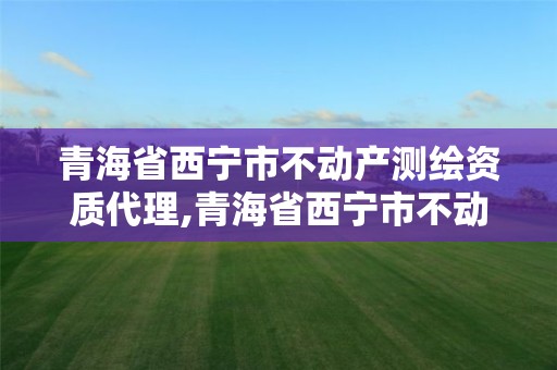 青海省西宁市不动产测绘资质代理,青海省西宁市不动产测绘资质代理机构。