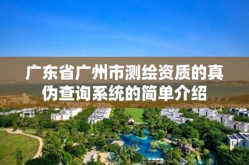 广东省广州市测绘资质的真伪查询系统的简单介绍