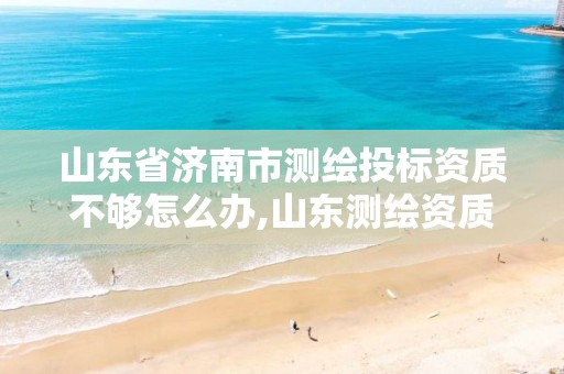 山东省济南市测绘投标资质不够怎么办,山东测绘资质查询。