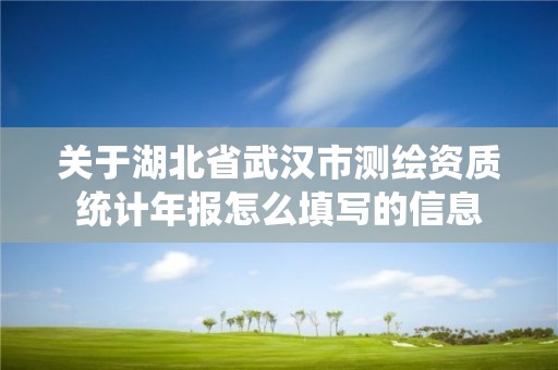 关于湖北省武汉市测绘资质统计年报怎么填写的信息